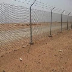 شبوك مزارع الدمام