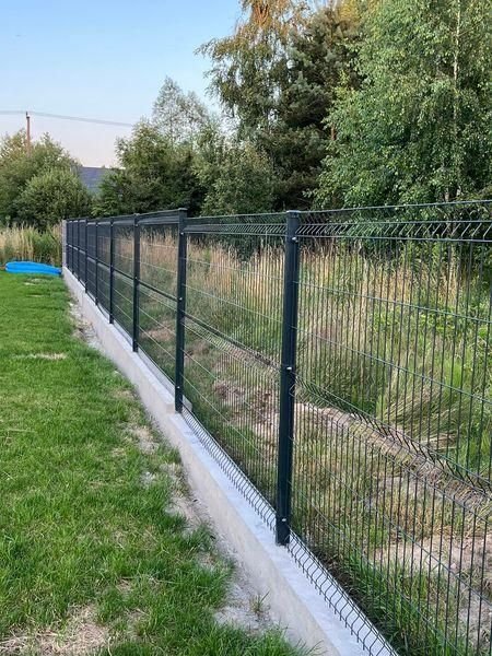 شبوك شائكة الخبر