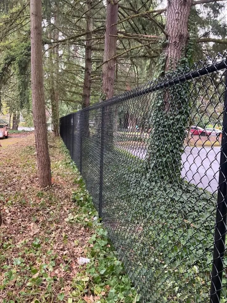 شبوك مزارع الخبر