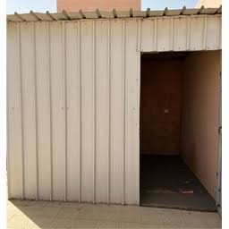 شينكواء الخبر